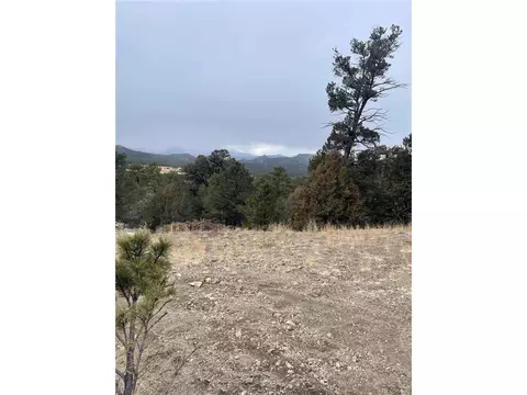 22 Nd Trl, Cotopaxi, CO 81224 photo 21