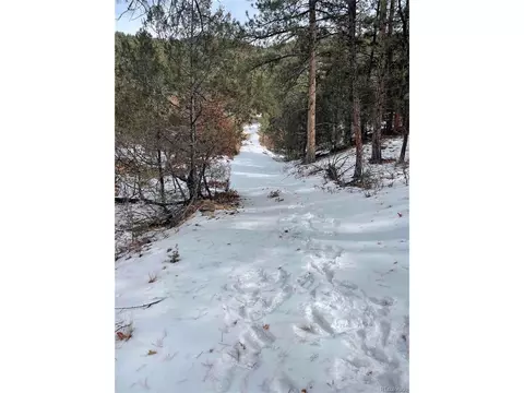 22 Nd Trl, Cotopaxi, CO 81224 photo 11