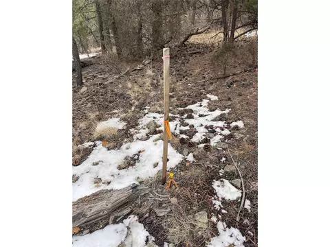 22 Nd Trl, Cotopaxi, CO 81224 photo 23