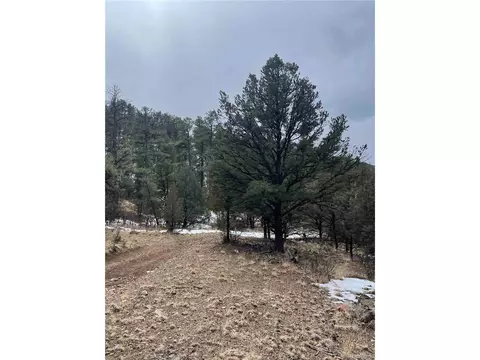 22 Nd Trl, Cotopaxi, CO 81224 photo 15