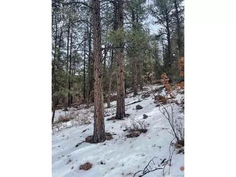 22 Nd Trl, Cotopaxi, CO 81224 photo 10