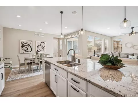9446 E 51st Dr, Denver, CO 80238 photo 5
