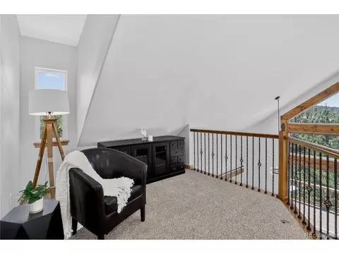 341 Rainbow Trl, Divide, CO 80814 photo 16