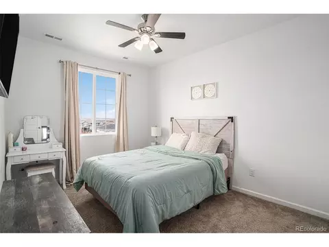1830 Thrive Dr, Windsor, CO 80550 photo 18