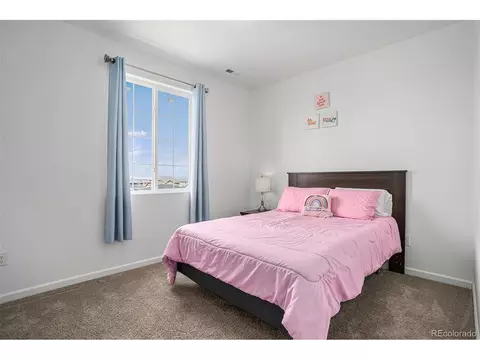 1830 Thrive Dr, Windsor, CO 80550 photo 20