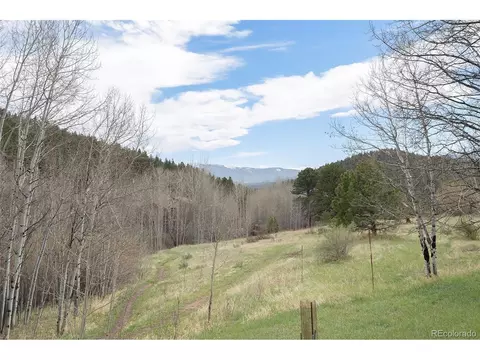 Undisclosed, Bailey, CO 80421 photo 20