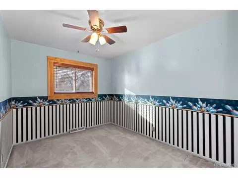 8540 Faraday St, Denver, CO 80229 photo 21