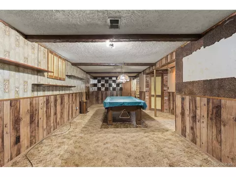 8540 Faraday St, Denver, CO 80229 photo 36