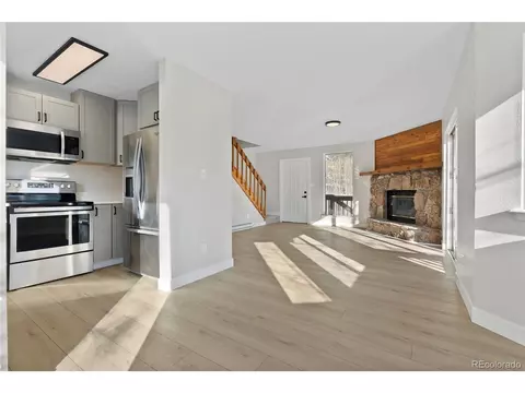 81 Silver Springs Rd, Bailey, CO 80421 photo 11