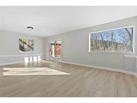 81 Silver Springs Rd, Bailey, CO 80421 photo 29