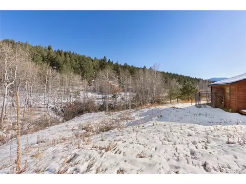 81 Silver Springs Rd, Bailey, CO 80421 photo 37