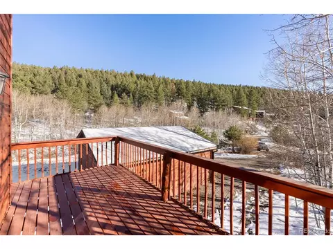 81 Silver Springs Rd, Bailey, CO 80421 photo 9