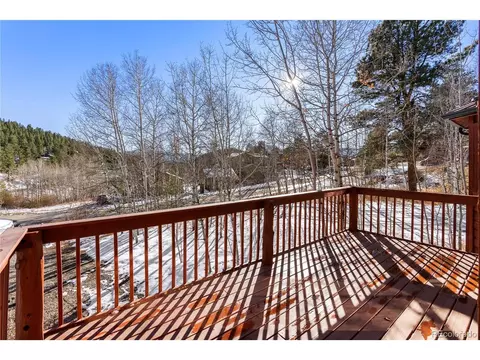 81 Silver Springs Rd, Bailey, CO 80421 photo 8