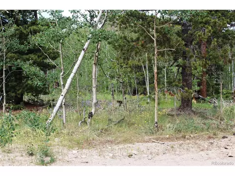 0 Pisgah Lake Rd, Idaho Springs, CO 80425