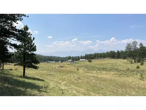 54 Democrat Cir, Westcliffe, CO 81252