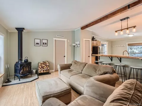 3555 Co Road 14, Fairplay, CO 80440