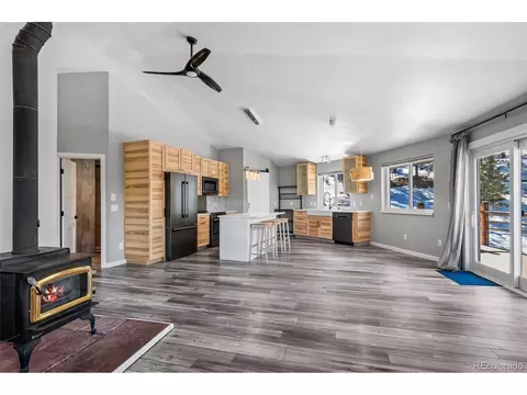 10 Kittle Ct, Lyons, CO 80540 photo 13