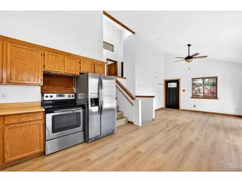 Other - 571 Wisp Creek Dr, Bailey, CO 80421 photo 2 of 5