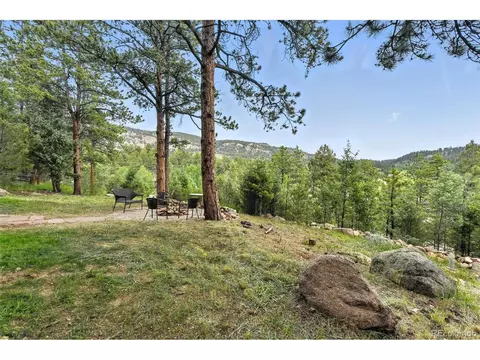 Exterior - 571 Wisp Creek Dr, Bailey, CO 80421 photo 13 of 13