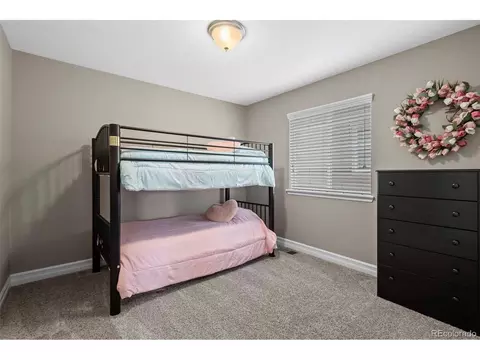 12623 Grape St, Thornton, CO 80241 photo 22