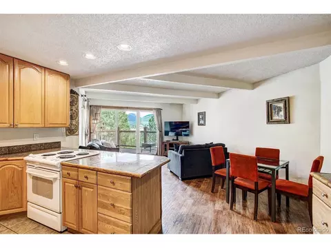 2436 Ryan Gulch Ct #101, Silverthorne, CO 80498