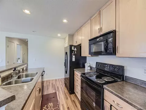 9039 Apache Plume Dr #E, Parker, CO 80134 photo 4