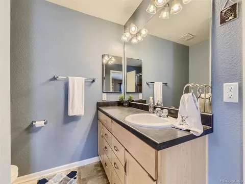 9039 Apache Plume Dr #E, Parker, CO 80134 photo 7