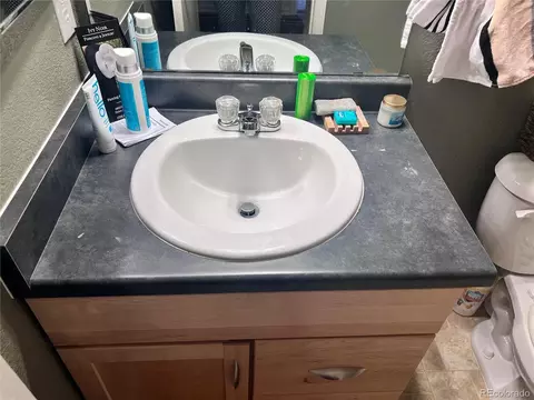 9039 Apache Plume Dr #E, Parker, CO 80134 photo 16