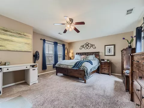 9039 Apache Plume Dr #E, Parker, CO 80134 photo 6