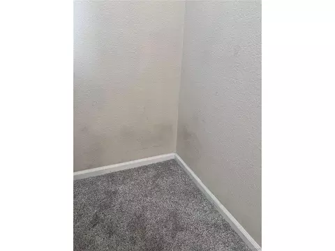 9039 Apache Plume Dr #E, Parker, CO 80134 photo 22