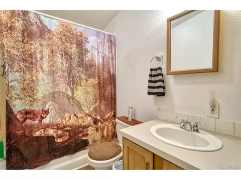 221 Elm St, Bennett, CO 80102 photo 11