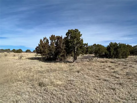 122 Ghost River Rnch, Rye, CO 81069 photo 12