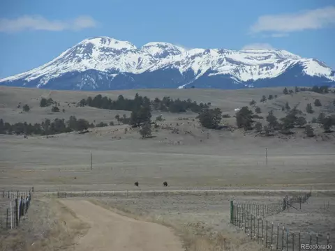27668 Hwy 9, Hartsel, CO 80449