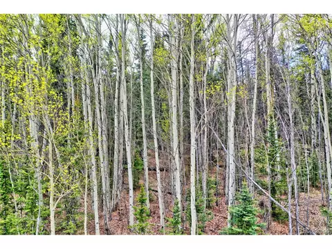 1161 W Longbow Dr, Como, CO 80432 photo 9