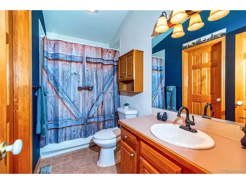 614 Spring Vly, Bailey, CO 80421 photo 22