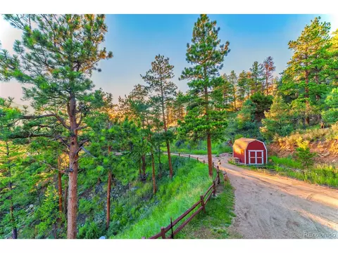 614 Spring Vly, Bailey, CO 80421 photo 30