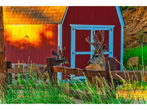 614 Spring Vly, Bailey, CO 80421 photo 8