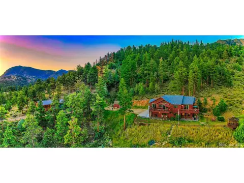 614 Spring Vly, Bailey, CO 80421 photo 32