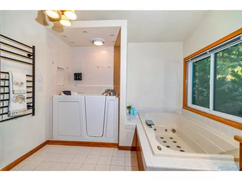 614 Spring Vly, Bailey, CO 80421 photo 20