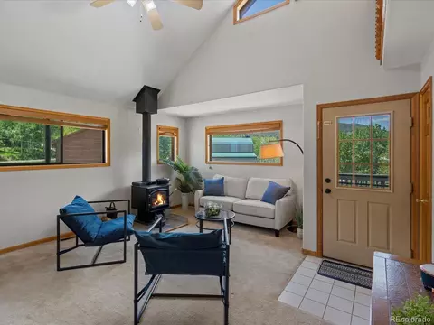 689 S Pine Dr, Bailey, CO 80421 photo 3