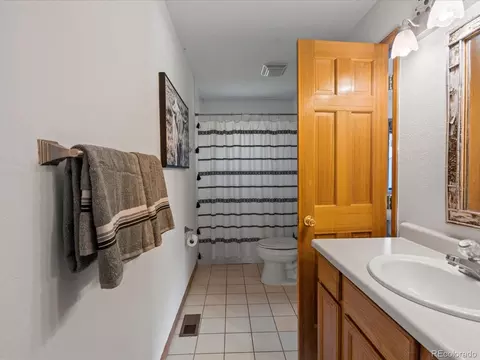 689 S Pine Dr, Bailey, CO 80421 photo 24