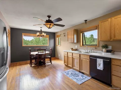 689 S Pine Dr, Bailey, CO 80421 photo 5
