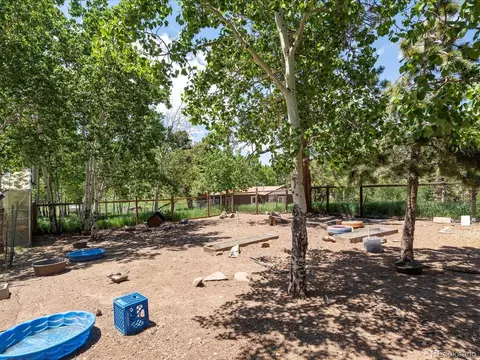 689 S Pine Dr, Bailey, CO 80421 photo 12