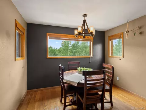 689 S Pine Dr, Bailey, CO 80421 photo 29