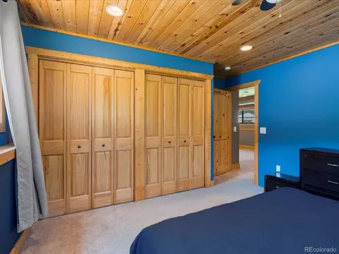 689 S Pine Dr, Bailey, CO 80421 photo 22