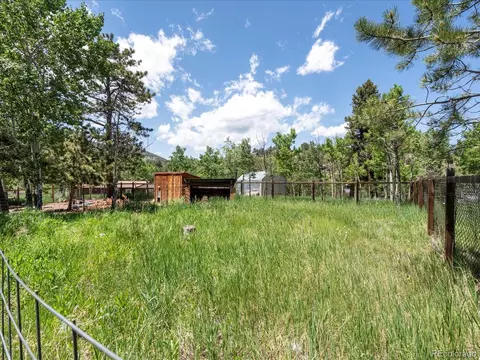 689 S Pine Dr, Bailey, CO 80421 photo 11
