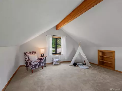 689 S Pine Dr, Bailey, CO 80421 photo 8