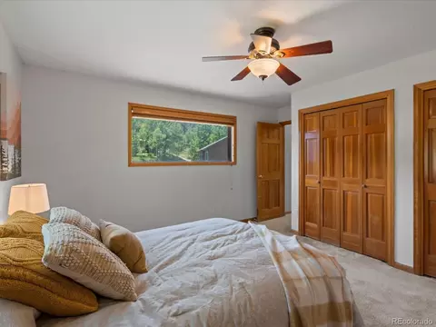 689 S Pine Dr, Bailey, CO 80421 photo 4