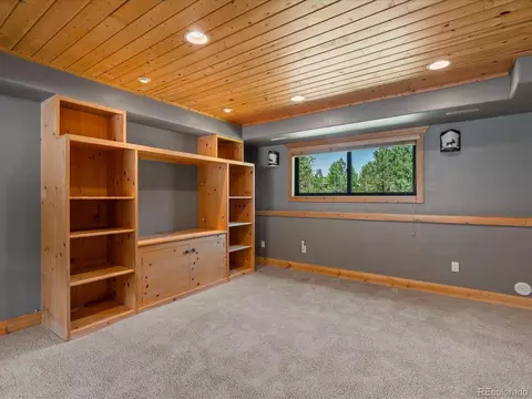 689 S Pine Dr, Bailey, CO 80421 photo 26