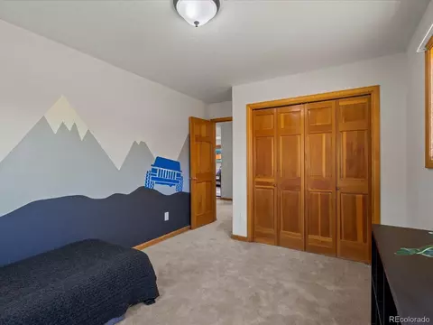 689 S Pine Dr, Bailey, CO 80421 photo 9